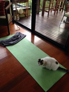 weight loss yoga